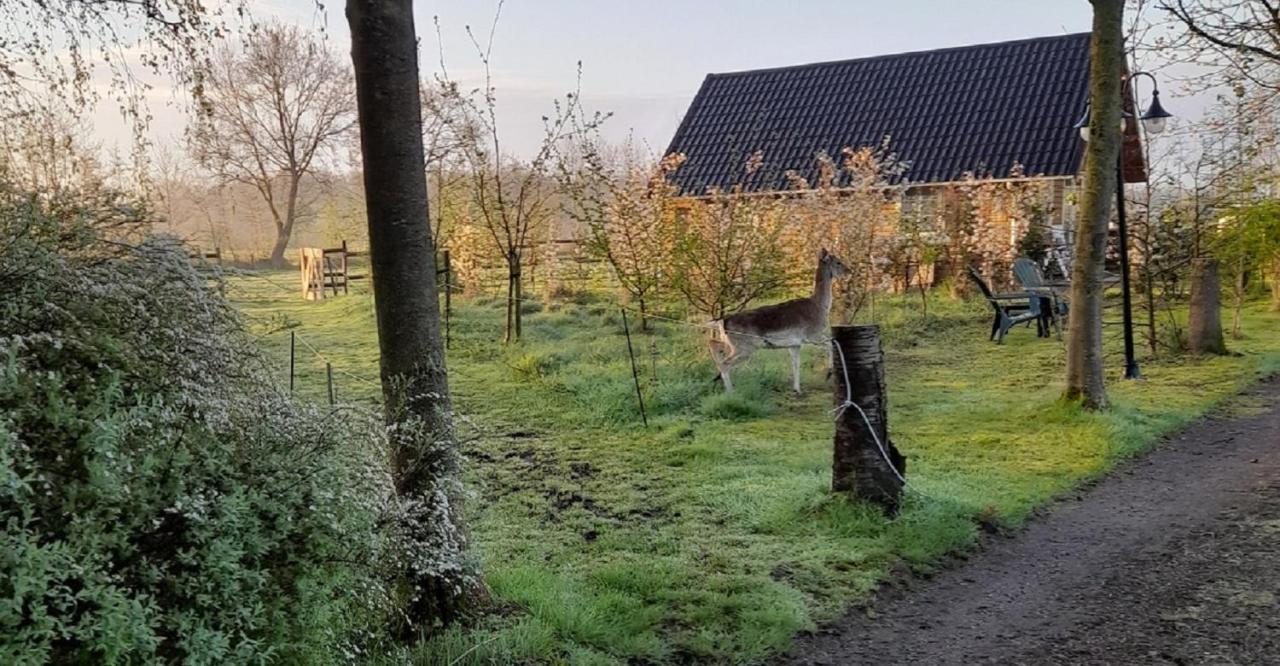 B&B Landgoed Sonneborghe Kollumerzwaag 외부 사진