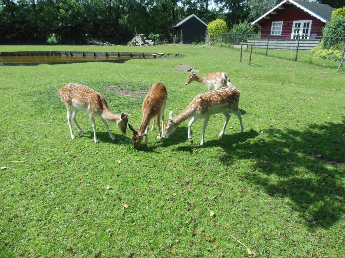 B&B Landgoed Sonneborghe Kollumerzwaag 외부 사진